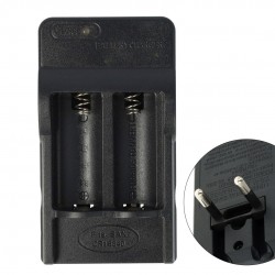 POWERMASTER PMR-W018 4.2 Volt 650 mAh 16340 Pil Şarj Cihazı