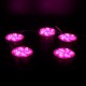 PowerMaster PM-14709 12 Volt 3 Watt Pembe Sabit 6565-2835 Modül Led 65x65x12mm